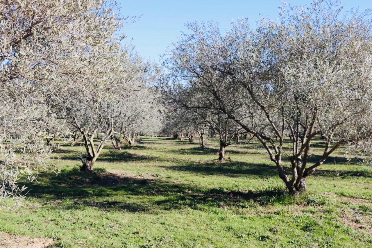 מלון פרטואי Terre Luberon מראה חיצוני תמונה